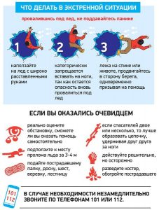 ледд