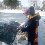 изображение_viber_2023-03-11_16-46-02-351