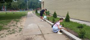 0-02-05-48fb58832d06e0ceebf8694fb40f20abe8ab9c235472a7ff6d3a338d7a566ddc_ed2a72684af2d9c5